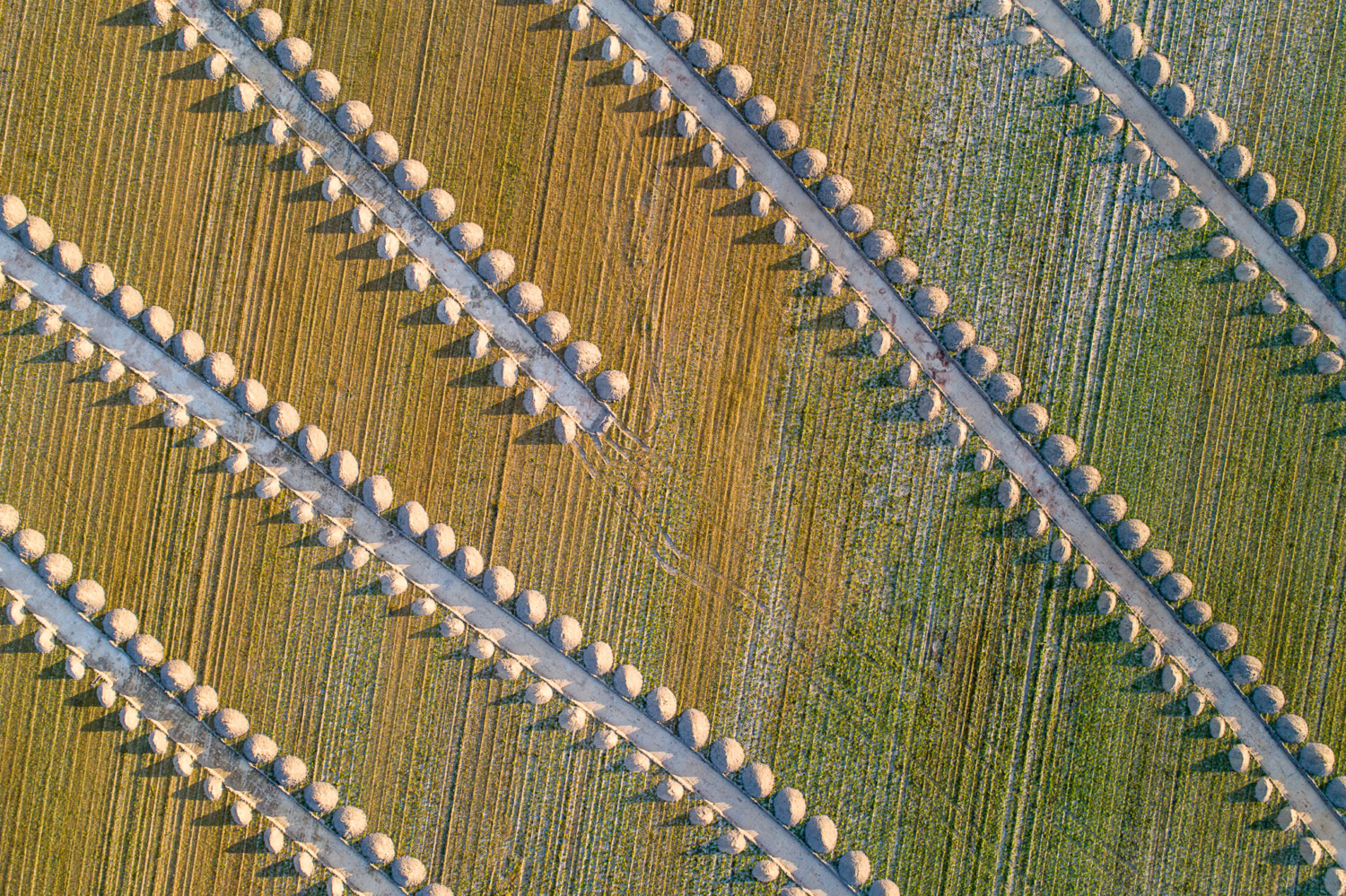 LR Metadaten Feld "Titel"