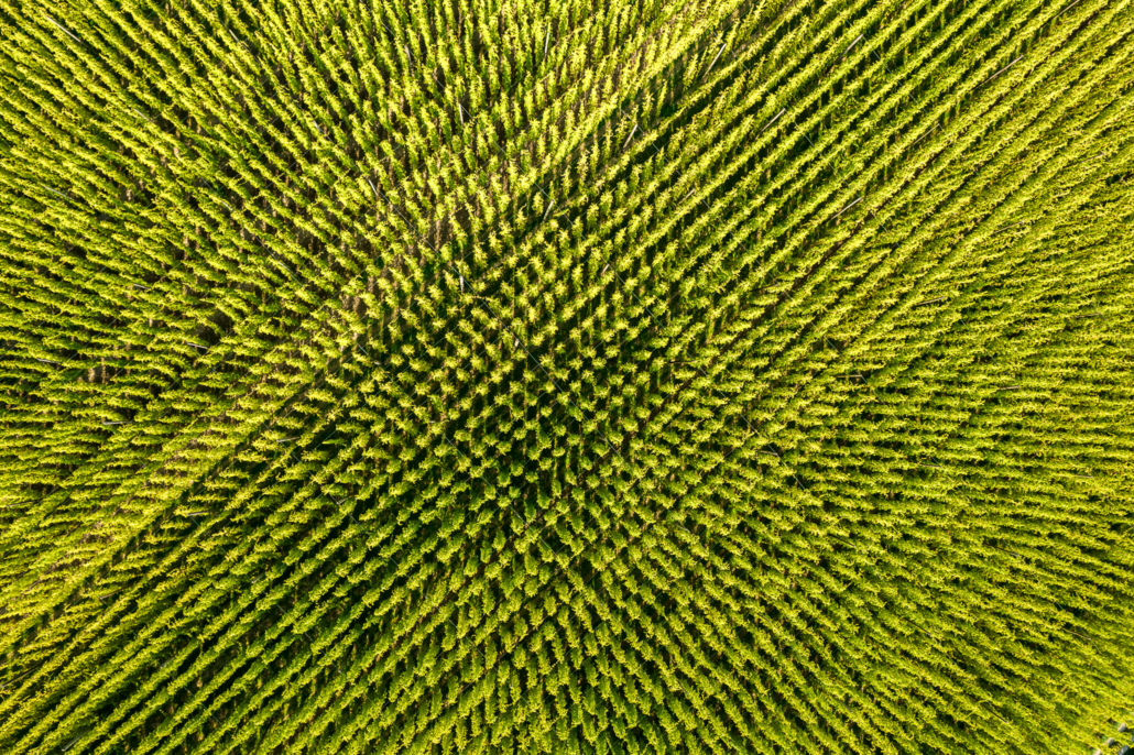 06_Ulrich_Mertens_Groundscapes_013