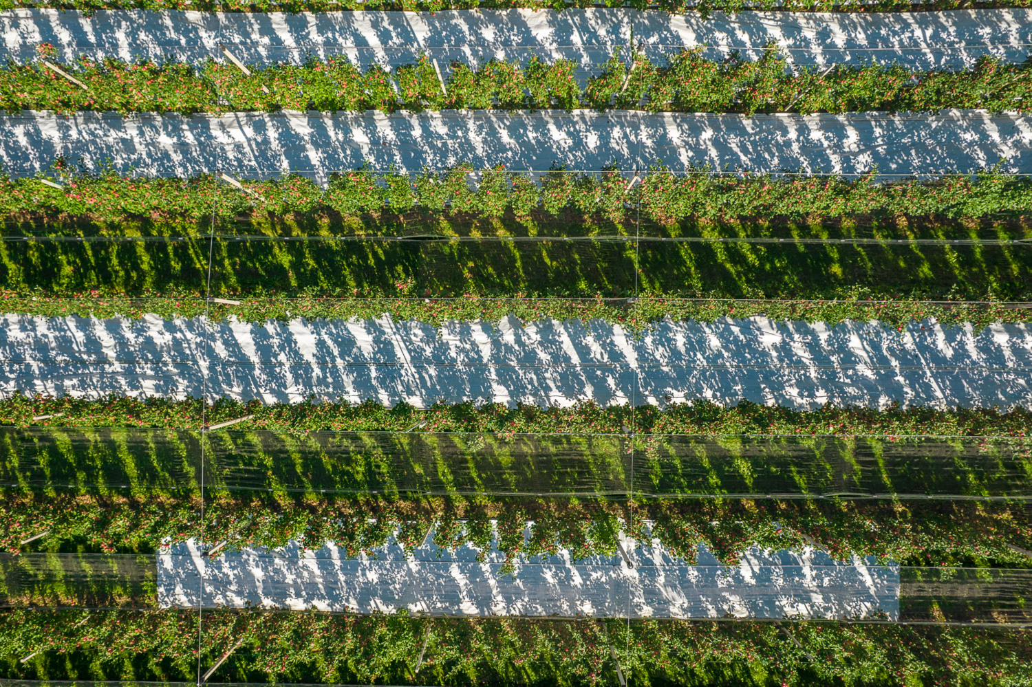 08_Ulrich_Mertens_Groundscapes_131