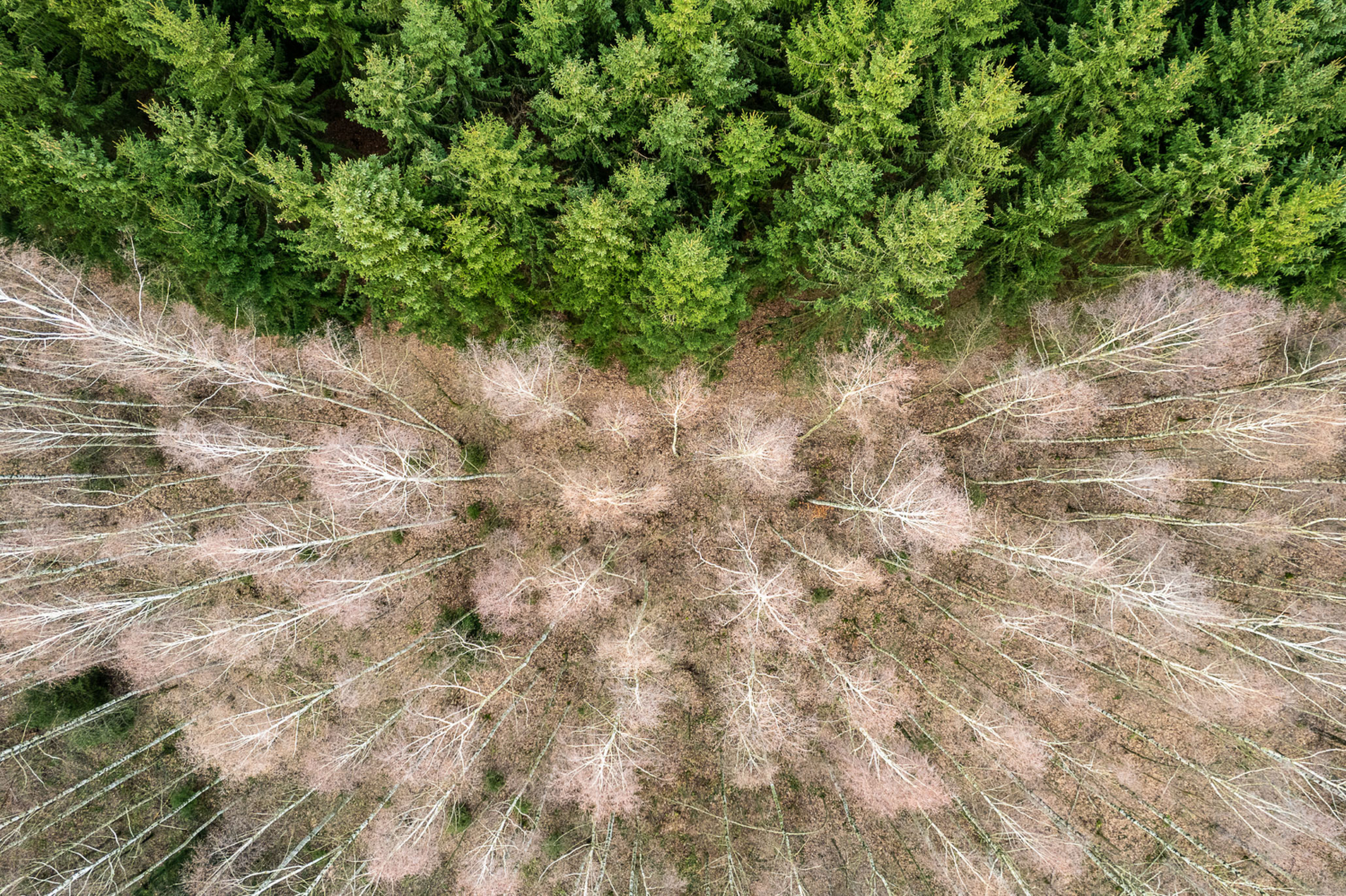 14_Ulrich_Mertens_Groundscapes_0046