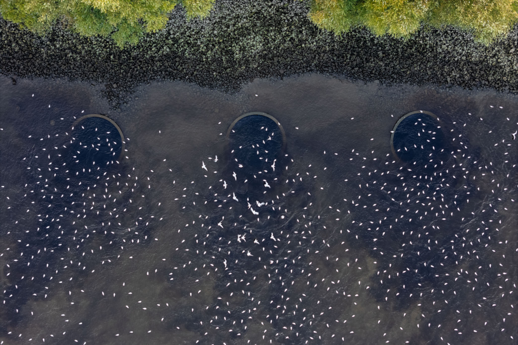 17_Ulrich_Mertens_Groundscapes_